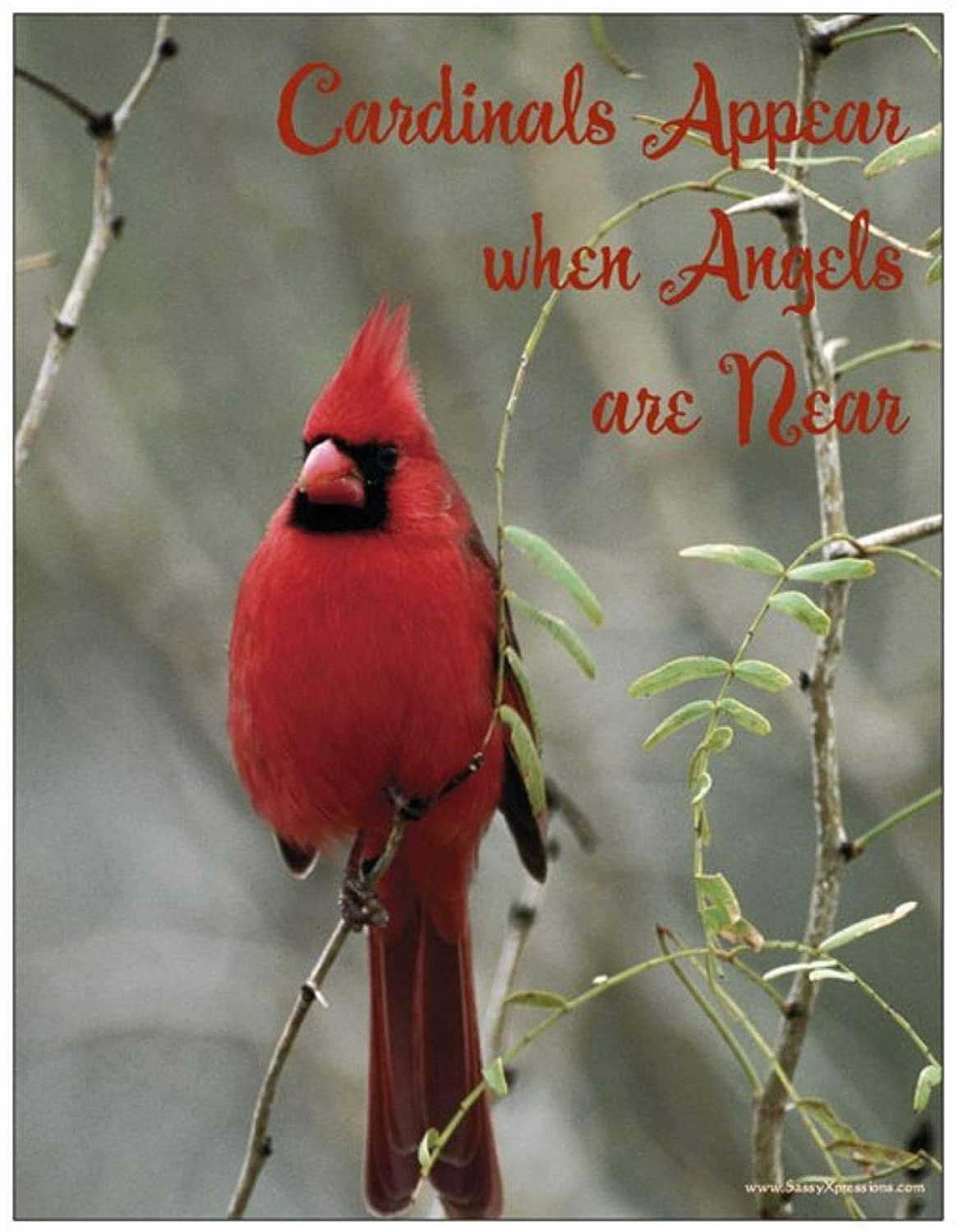 Cardinal Appear When Angels are Near Cardinal Refrigerator Magnet