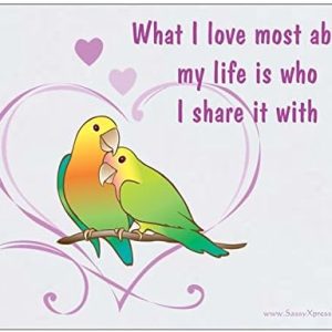 Lovebirds what I Love about my Life is who I share it with