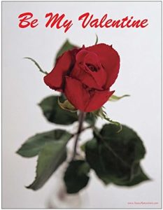 Be My Valentine Red Rose Refrigerator Magnet