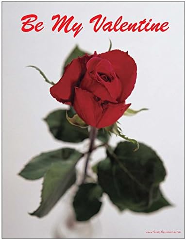 Be My Valentine Red Rose Refrigerator Magnet