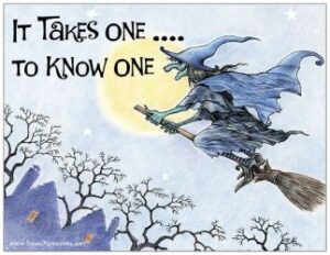 It Takes One to Know One Witch Refrigerator Magnet