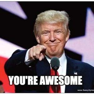 Trump Pointing at You -You’re Awesome Magnet